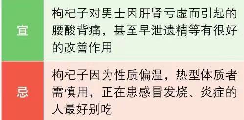 枸杞人群禁忌，枸杞滋阴补肾，枸杞六种食用方法