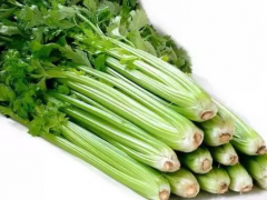 蔬菜芹菜和菠菜就能起到清降肝火的作用