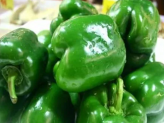 吃青椒可以减肥吗？减肥时能吃青椒吗？