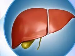 哪些习惯会导致肝损伤？肝脏出现问题的表现？